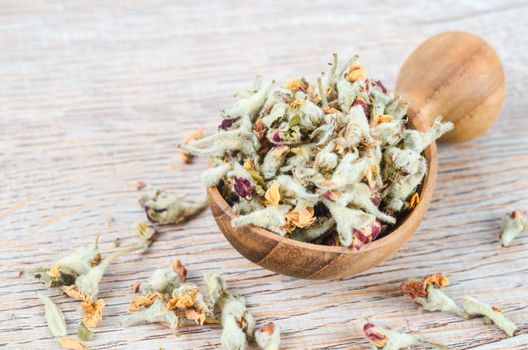 The Flower tea. Dried of apple blossom in wooden spoon.