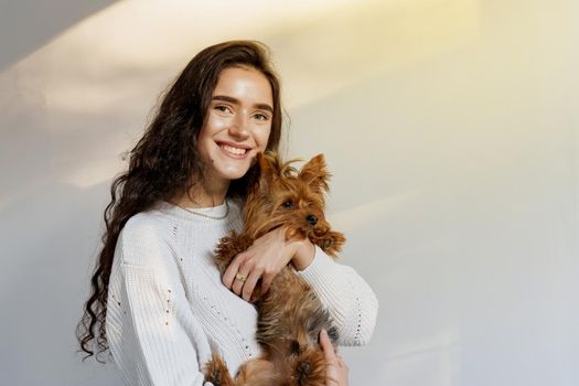 Girl holds brown dog isolated on white background. Young attractive woman with dog yorkshire terrier smiles. Close up photo. Pet care. People and pets.