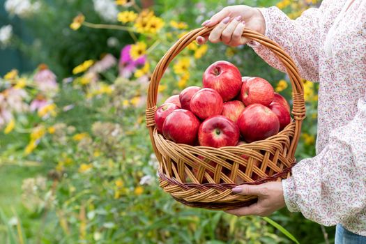 Woman holding a wicker basket with a red apples