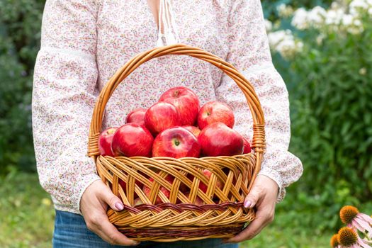 Woman holding a wicker basket with a red apples