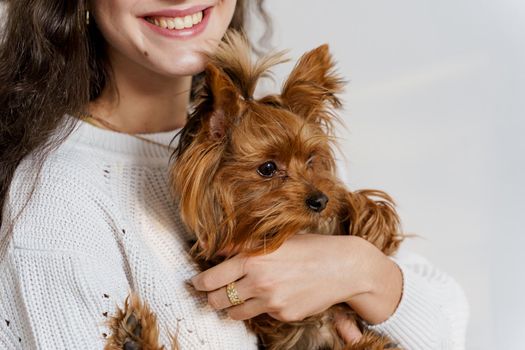 Girl holds brown dog isolated on white background. Young attractive woman with dog yorkshire terrier smiles. Close up photo. Pet care. People and pets.