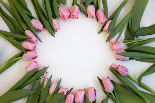 layout, background, blank: tulips lined circle on a light background.