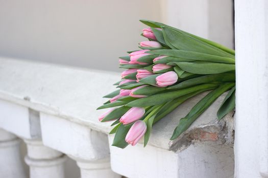 Gorgeous bouquet of tulips. Beautiful spring flowers. Gift for a girl. Arhitecture elements.