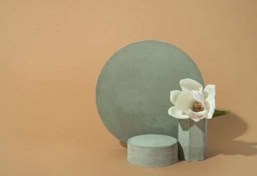 minimalist mockup with concrete shapes and magnolia blooming. High quality photo with copy space