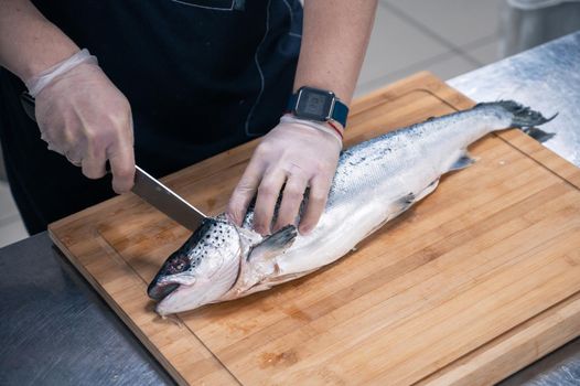 Chef preparing a salmon fish by gutting and filleting at the kitchen