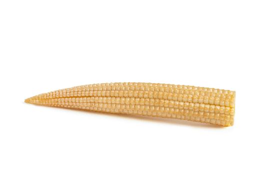 Corn on a white background. Baby corn isolated on white homogeneous background, clipping path, full depth of field