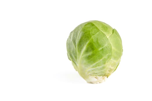 Isolate Brussels sprouts. Fresh, small brussels sprouts on white isolated background with shadow.