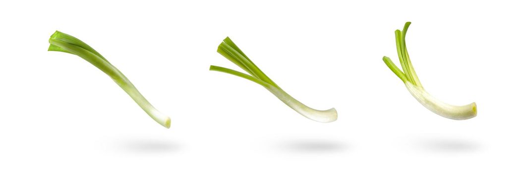 Set sliced green onion on a white background. Green onion slices fall or fly, casting a shadow.