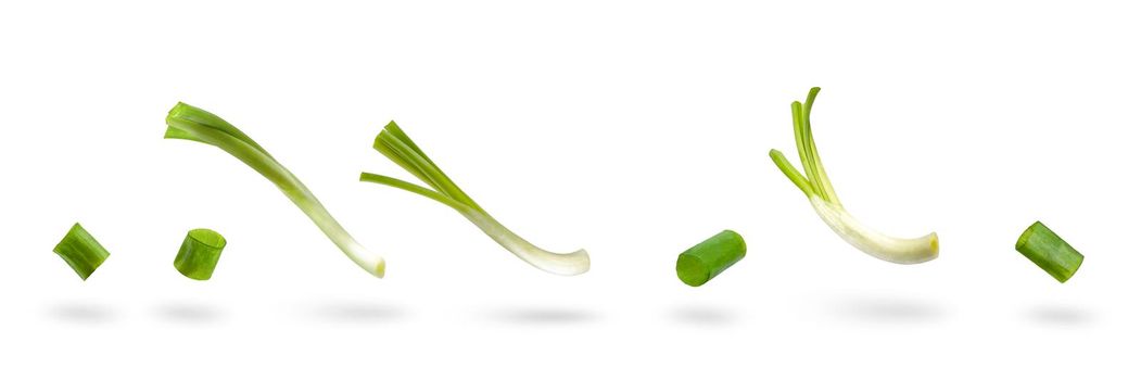 Set sliced green onion on a white background. Green onion slices fall or fly, casting a shadow.