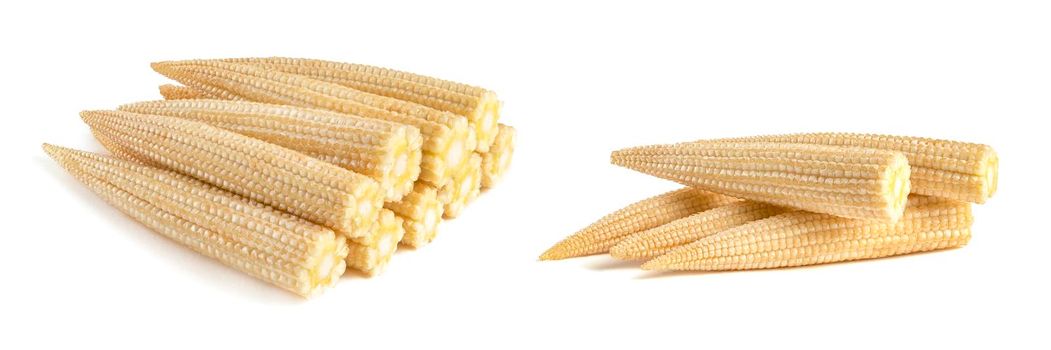 Set of stacks of corn on a white background. Baby corn isolated on white uniform background, clipping path, full depth of field