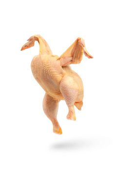 Chicken raw, casting a shadow, spreading its wings. Raw chicken isolated on white background. Yellowish corn chick.