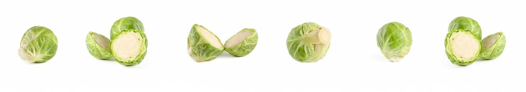 Brussels sprouts. Large set of fresh brussels sprouts in stacks on a white isolated background. Deep focus stacking