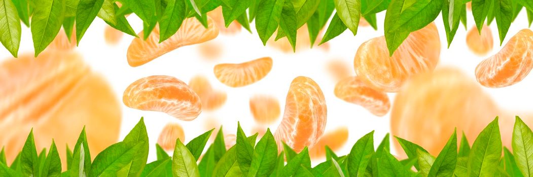 Big set of tangerine parts, different tangerine segments isolated on white background. Leaves and pieces of tangerine fall.