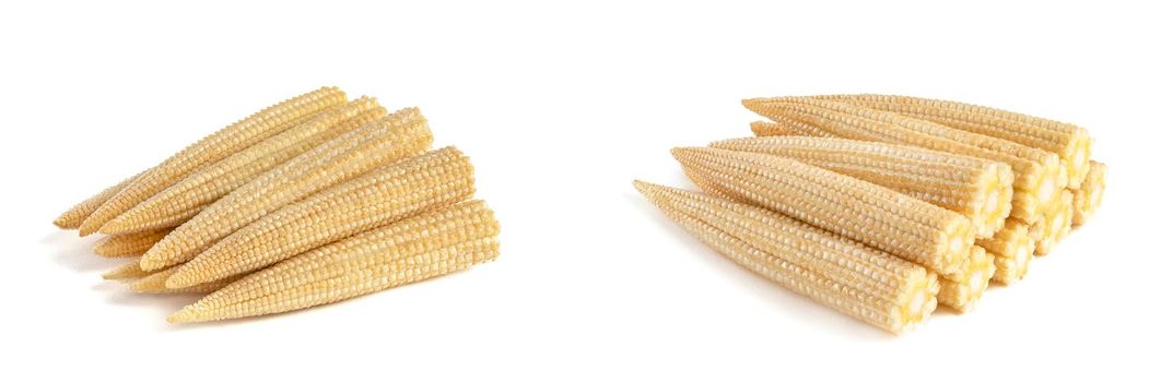 Corn set on a white background. Baby corn isolated on white homogeneous background, clipping path, full depth of field