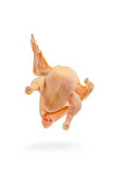 Chicken, raw, walking, casting a shadow, wings spread. Raw chicken isolated on white background. Corn chicken.