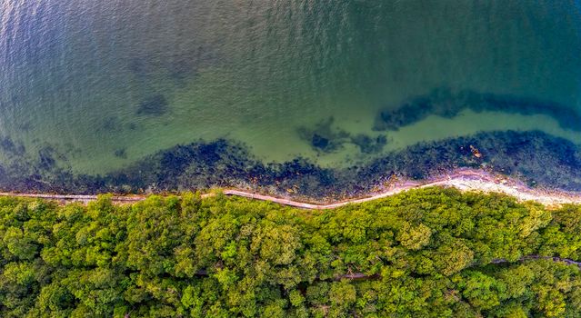 The coastline covered with green forest near the sea. Seawater surface in the lagoon. Varna, Bulgaria.