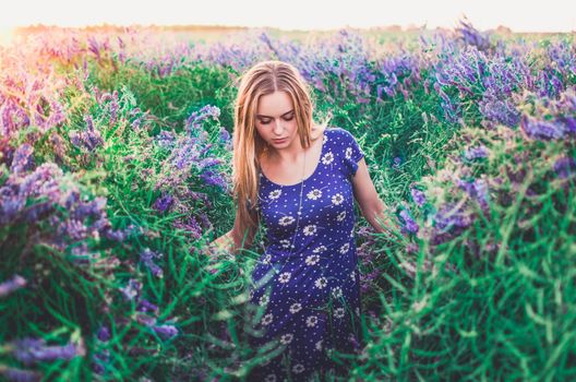 light-skinned European blonde young slim girl walks on tall grass overgrown with purple flowers. Women's blue short skin-tight dress with white daisy print.