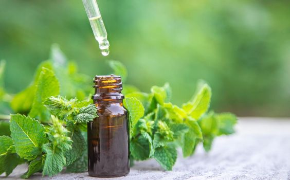 Peppermint essential oil in a small bottle. Selective focus. nature.