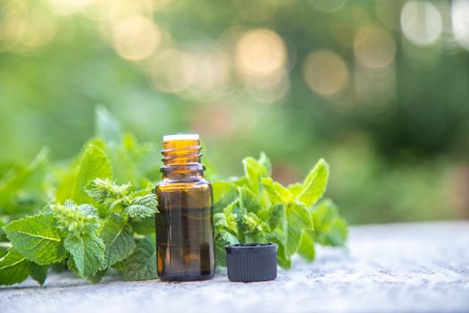 Peppermint essential oil in a small bottle. Selective focus. nature.