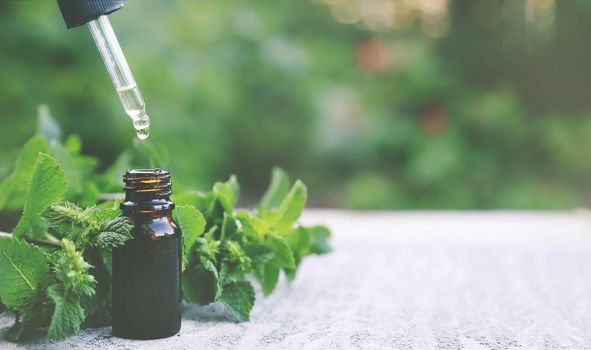 Peppermint essential oil in a small bottle. Selective focus. nature.