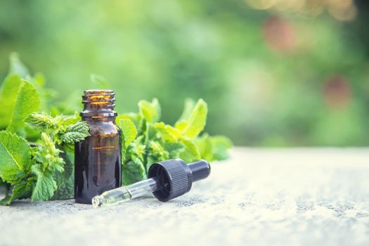 Peppermint essential oil in a small bottle. Selective focus. nature.