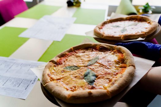 Pizza with tomatoes, mozzarella cheese, basil. Waiter with gloves takes out margarita pizza.