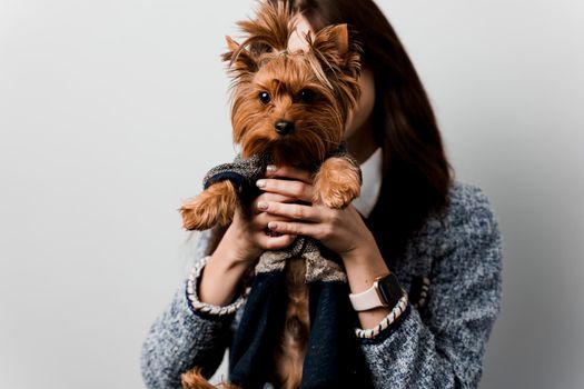 Young attractive woman with dog yorkshire terrier smiles. Close up photo. Pet care. People and pets. Girl holds brown dog isolated on white background