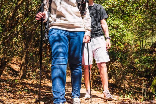 cropped shot of two young women hikers in nature enjoy the walk. women on holiday. tourists hiking in nature. hiking poles and mountaineer backpack. natural and warm light. lush vegetation. hiking poles.