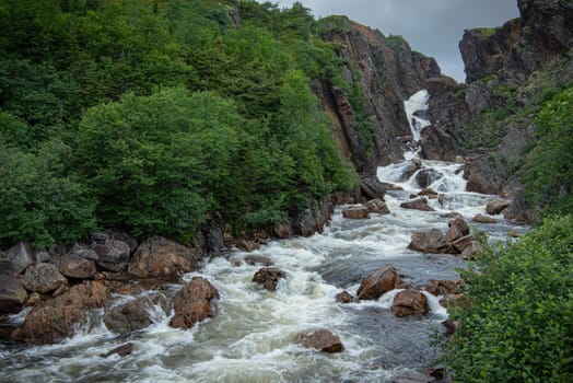 Babbling white water brook in wild Quebec