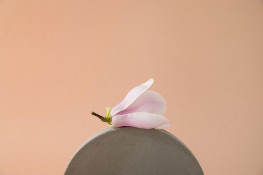 minimalist mockup with concrete shapes and magnolia blooming. High quality photo with copy space