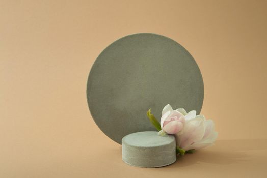 minimalist mockup with concrete shapes and magnolia blooming. High quality photo with copy space