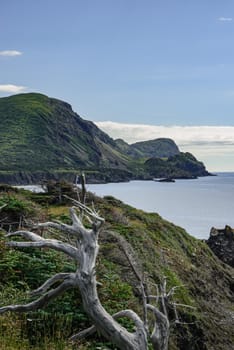 Rugged Newfoundland coastline on the Atlantic