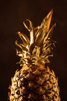 Pineapple tropical fruit on black background. Citrus fruit with vitamin c for helth care