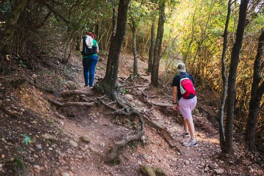 two young women friends hiking on a forest trail. young people on holiday. women walking in nature. hiking sticks and mountaineer's backpack. natural and warm light. lush vegetation. hiking sticks.