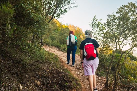 two women friends climbing to the top of a mountain. young people on holiday. women hiking on a woods trail. hiking sticks and mountaineer's backpack. warm, natural light. lush vegetation. hiking sticks.