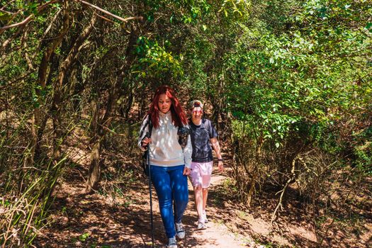 two young friends hiking in nature enjoy the walk and fresh air. women on holiday. tourists hiking in nature. hiking poles and mountaineer's backpack. warm natural light. lush vegetation. hiking poles.