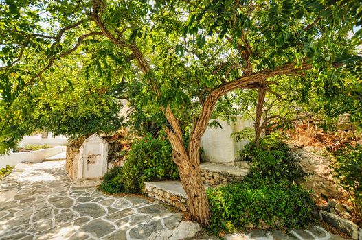 View of Chora village on Sikinos island in Greece, with trees