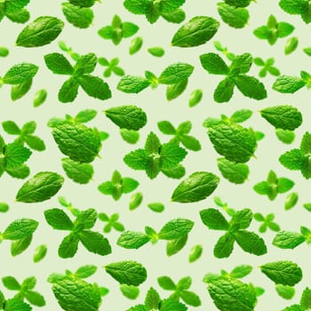 Seamless pattern of fresh mint leaves on green background for packaging design. peppermint abstract background.