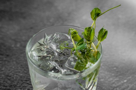 Glass with drink, ice on gray background. Cocktail decorated microgreen alcohol beverage