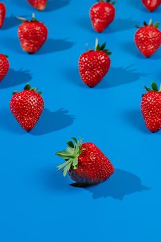 Strawberry ripe fruit on blue background. Harvest of fresh red berry.