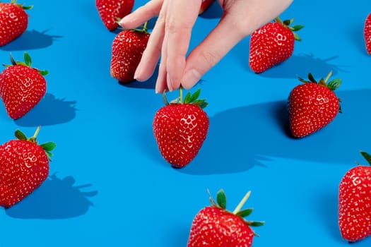 Holding strawberry on blue background. Woman touching strawberry