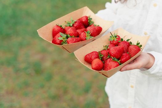 Strawberry in disposable eco plate in woman hands on green background.