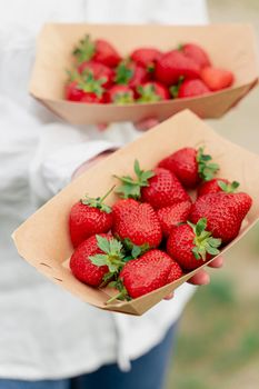 Strawberry in disposable eco plate in woman hands on green background.