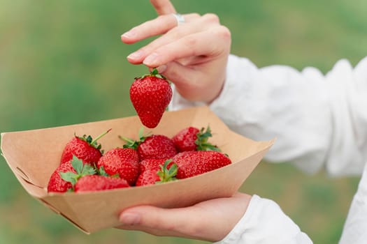 Holding strawberry in hand. Strawberries in disposable eco plate on green background. Seasonal red berry.