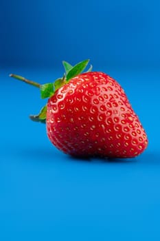 Strawberry close-up in hands on blue background. Macro photo of red berry.