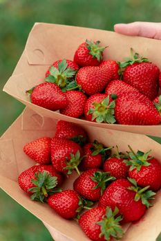 Strawberry in disposable eco plate in woman hands on green background.