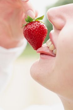 Woman enjoy strawberry close-up. Kisses and tastes strawberry. Seasonal berry.