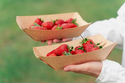 Strawberry in disposable eco plate in woman hands on green background.