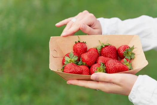 Holding strawberry in hand. Strawberries in disposable eco plate on green background. Seasonal red berry