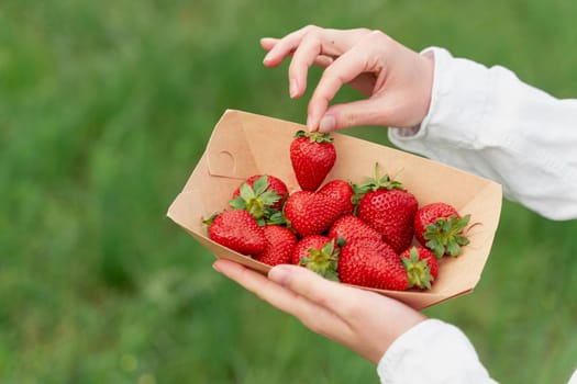 Holding strawberry in hand. Strawberries in disposable eco plate on green background. Seasonal red berry.
